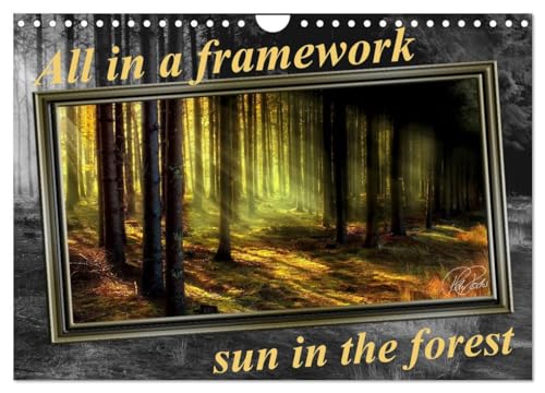 All in a framework - sun in the forest / UK-Version (Wall Calendar 2025 DIN A4 landscape), CALVENDO 12 Month Wall Calendar: Sun in the forest, magical colours, mysterious light ¿ all in a framework