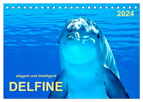 Delfine - elegant und intelligent (Tischkalender 2024 DIN A5 quer), CALVENDO Monatskalender