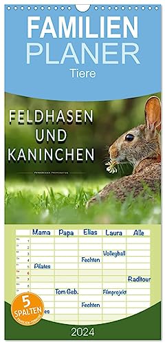 Familienplaner 2024 - Feldhasen und Kaninchen mit 5 Spalten (Wandkalender, 21 cm x 45 cm) CALVENDO von CALVENDO