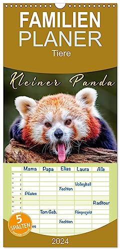 Familienplaner 2024 - Kleiner Panda mit 5 Spalten (Wandkalender, 21 cm x 45 cm) CALVENDO