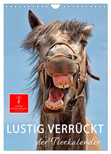 Lustig verrückt - der Tierkalender (Wandkalender 2025 DIN A4 hoch), CALVENDO Monatskalender von CALVENDO