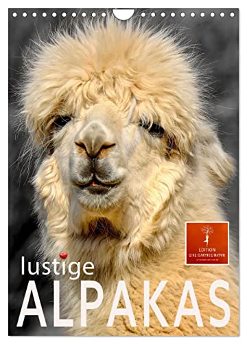 Lustige Alpakas (Wandkalender 2024 DIN A4 hoch), CALVENDO Monatskalender: Eindrucksvolle Bilder der niedlichen Tiere. (CALVENDO Tiere)