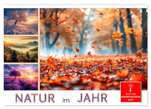 Natur im Jahr (Wandkalender 2025 DIN A2 quer), CALVENDO Monatskalender von CALVENDO