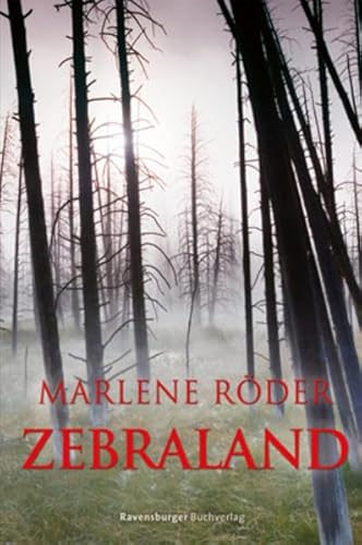 Zebraland: Ausgezeichnet mit dem Evangelischen Buchpreis, Kategorie Jugendbuch 2010 (Jugendliteratur ab 12 Jahre)