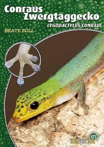 Conraus Zwergtaggecko: Lygodactylus conraui (Buchreihe Art für Art Terraristik)