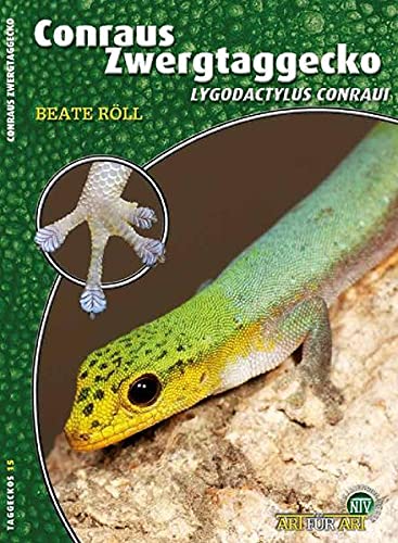 Conraus Zwergtaggecko: Lygodactylus conraui (Buchreihe Art für Art Terraristik)