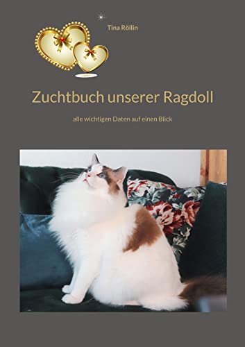 Zuchtbuch unserer Ragdoll: alle wichtigen Daten auf einen Blick