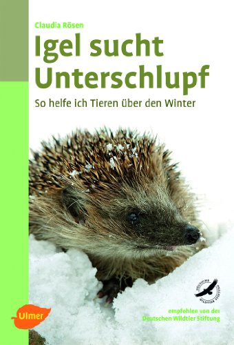 Igel sucht Unterschlupf: So helfe ich Tieren über den Winter