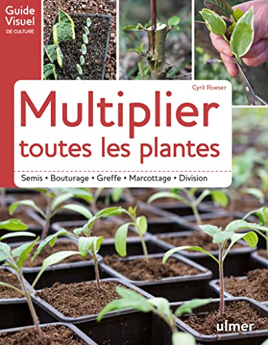 Multiplier toutes les plantes - Semis, bouturage, greffe, marcottage, division: Semi - Bouturage - Greffe - Marcottage - Division von ULMER