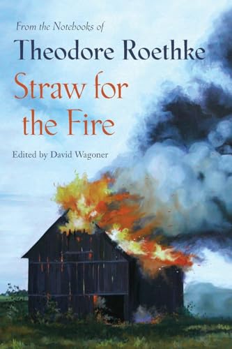 Straw for the Fire: From the Notebooks of Theodore Roethke von Copper Canyon Press