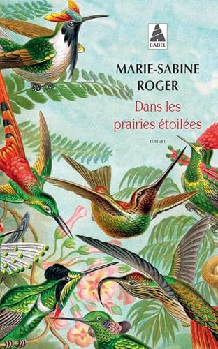 Dans les prairies toilees von Actes Sud