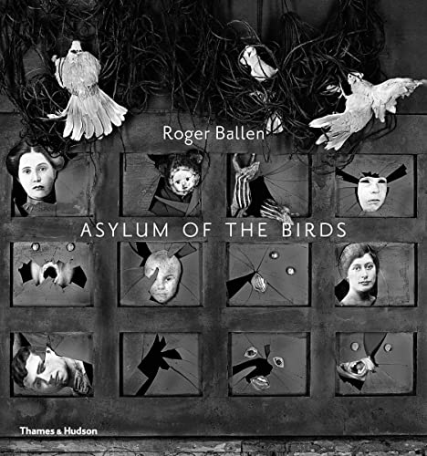 Asylum of the Birds von Thames & Hudson