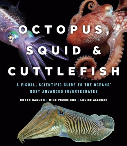 Octopus, Squid, and Cuttlefish: A Visual, Scientific Guide to the Oceans' Most Advanced Invertebrates von University of Chicago Press