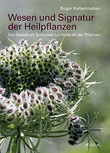 Wesen und Signatur der Heilpflanzen: Die Gestalt als Schlüssel zur Heilkraft der Pflanzen von AT Verlag