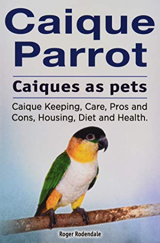 Caique parrot. Caiques as pets. Caique Keeping, Care, Pros and Cons, Housing, Diet and Health. Caique parrot. Caiques as pets. Caique Keeping, Care, Pros and Cons, Housing, Diet and Health.