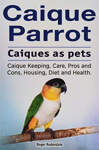 Caique parrot. Caiques as pets. Caique Keeping, Care, Pros and Cons, Housing, Diet and Health.