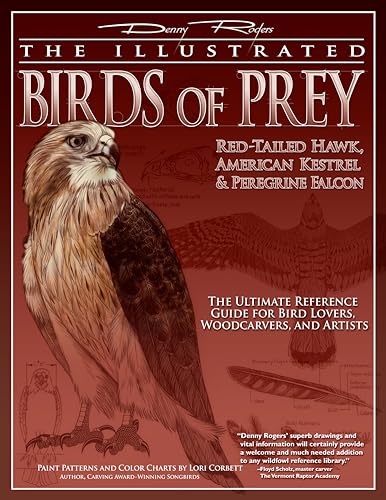 The Illustrated Birds of Prey: Red-Tailed Hawk, American Kestrel & Peregrine Falcon: The Ultimate Reference Guide for Bird Lovers, Woodcarvers, and Ar