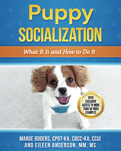 Puppy Socialization: What It Is and How to Do It