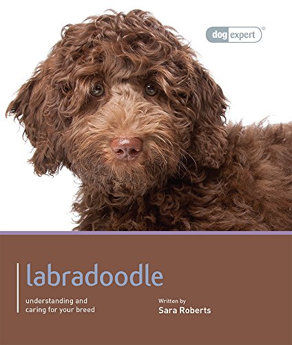 Labradoodle - Dog Expert von Magnet & Steel