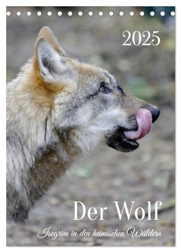 Der Wolf - Isegrim in den heimischen Wäldern - Kalender 2025 (Tischkalender 2025 DIN A5 hoch), CALVENDO Monatskalender: Einzigartige Aufnahmen von Wölfen in den heimischen Wäldern von CALVENDO