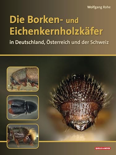 Die Borken- und Eichenkernholzkäfer: in Deutschland, Österreich und der Schweiz Die Borken- und Eichenkernholzkäfer: in Deutschland, Österreich und der Schweiz von Quelle & Meyer