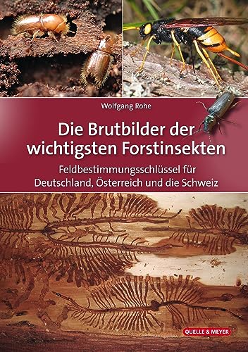 Die Brutbilder der wichtigsten Forstinsekten: Feldbestimmungsschlüssel für Deutschland, Österreich und die Schweiz von Quelle & Meyer