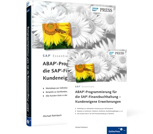 ABAP-Programmierung für die SAP-Finanzbuchhaltung – Kundeneigene Erweiterungen von Rheinwerk