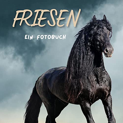 Friesen: Ein Fotobuch von 27 Amigos