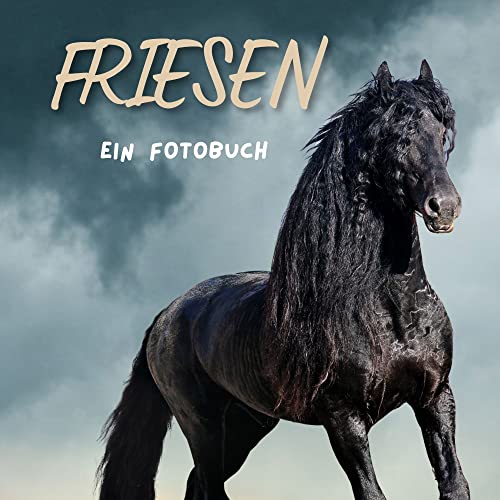 Friesen: Ein Fotobuch