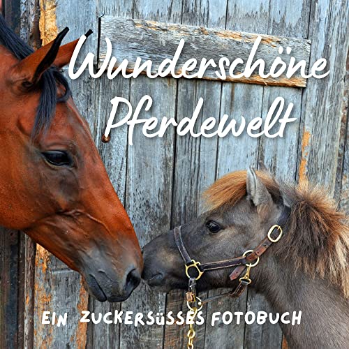 Wunderschöne Pferdewelt: Ein zuckersüsses Fotobuch. Das perfekte Geschenke für alle Pferdefreunde von 27 Amigos