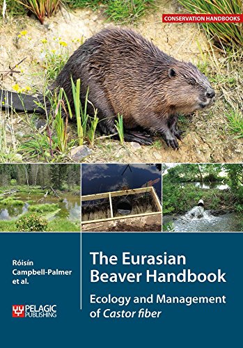 The Eurasian Beaver Handbook: Ecology and Management of Castor fiber (Conservation Handbooks) von Pelagic Publishing Ltd
