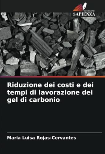Riduzione dei costi e dei tempi di lavorazione dei gel di carbonio von Edizioni Sapienza