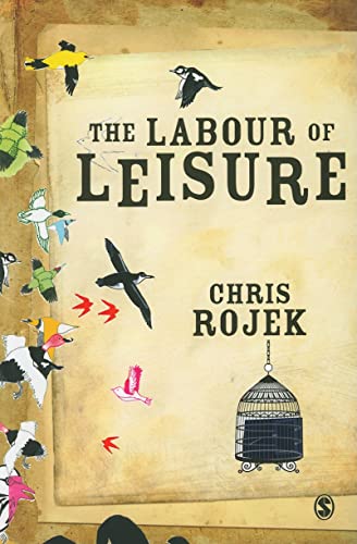 The Labour of Leisure: The Culture Of Free Time von Sage Publications
