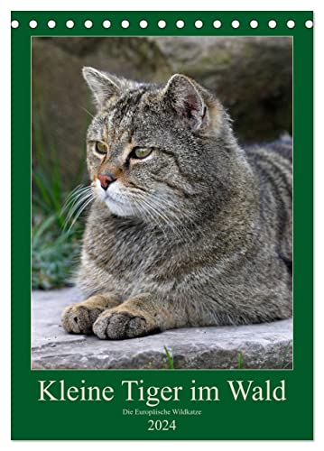 Kleine Tiger im Wald (Tischkalender 2024 DIN A5 hoch), CALVENDO Monatskalender