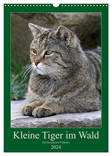 Kleine Tiger im Wald (Wandkalender 2024 DIN A3 hoch), CALVENDO Monatskalender