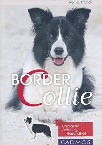 Border Collie: Charakter, Erziehung, Gesundheit