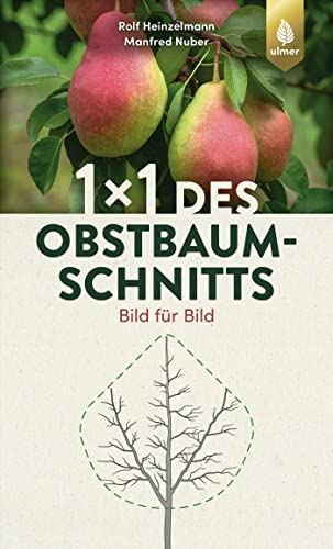 1 x 1 des Obstbaumschnitts: Bild für Bild von Ulmer Eugen Verlag