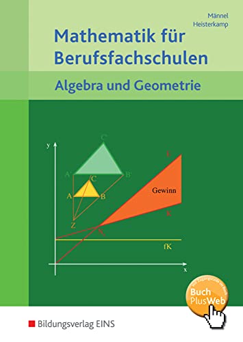 Mathematik für Berufsfachschulen: Algebra und Geometrie Schulbuch