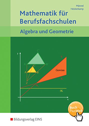 Mathematik für Berufsfachschulen: Algebra und Geometrie Schulbuch