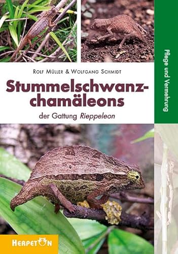 Stummelschwanzchamäleons: Die Gattung Rieppeleon