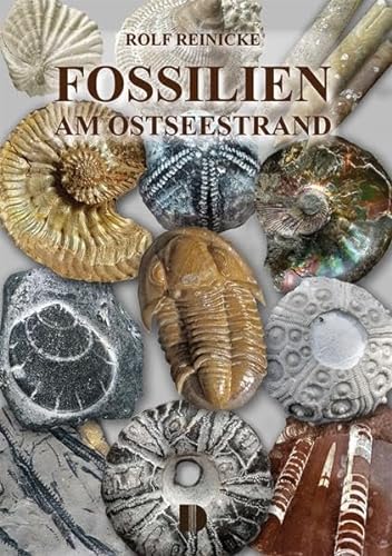 Fossilien am Ostseestrand von Demmler Verlag GmbH