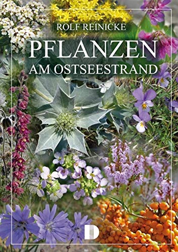 Pflanzen am Ostseestrand