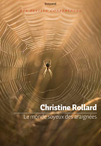 Le monde soyeux des araignées von BAYARD ADULTE