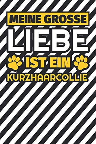 Notizbuch liniert: Meine große Liebe ist ein Kurzhaarcollie