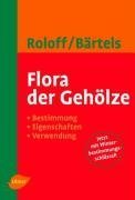Flora der Gehölze: Bestimmung, Eigenschaften und Verwendung Flora der Gehölze: Bestimmung, Eigenschaften und Verwendung
