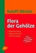 Flora der Gehölze: Bestimmung, Eigenschaften und Verwendung