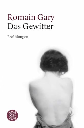 Das Gewitter: Erzählungen Das Gewitter: Erzählungen von FISCHERVERLAGE