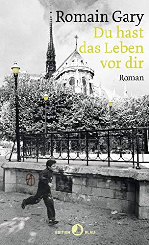 Du hast das Leben vor dir: Roman (EDITION BLAU) von Rotpunktverlag