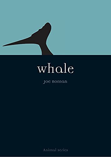 Whale (Reaktion Books - Animal) von Reaktion Books