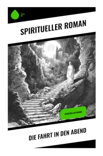 Die Fahrt in den Abend: Spiritueller Roman